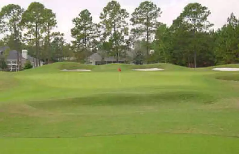 Jacksonville GCC: #14