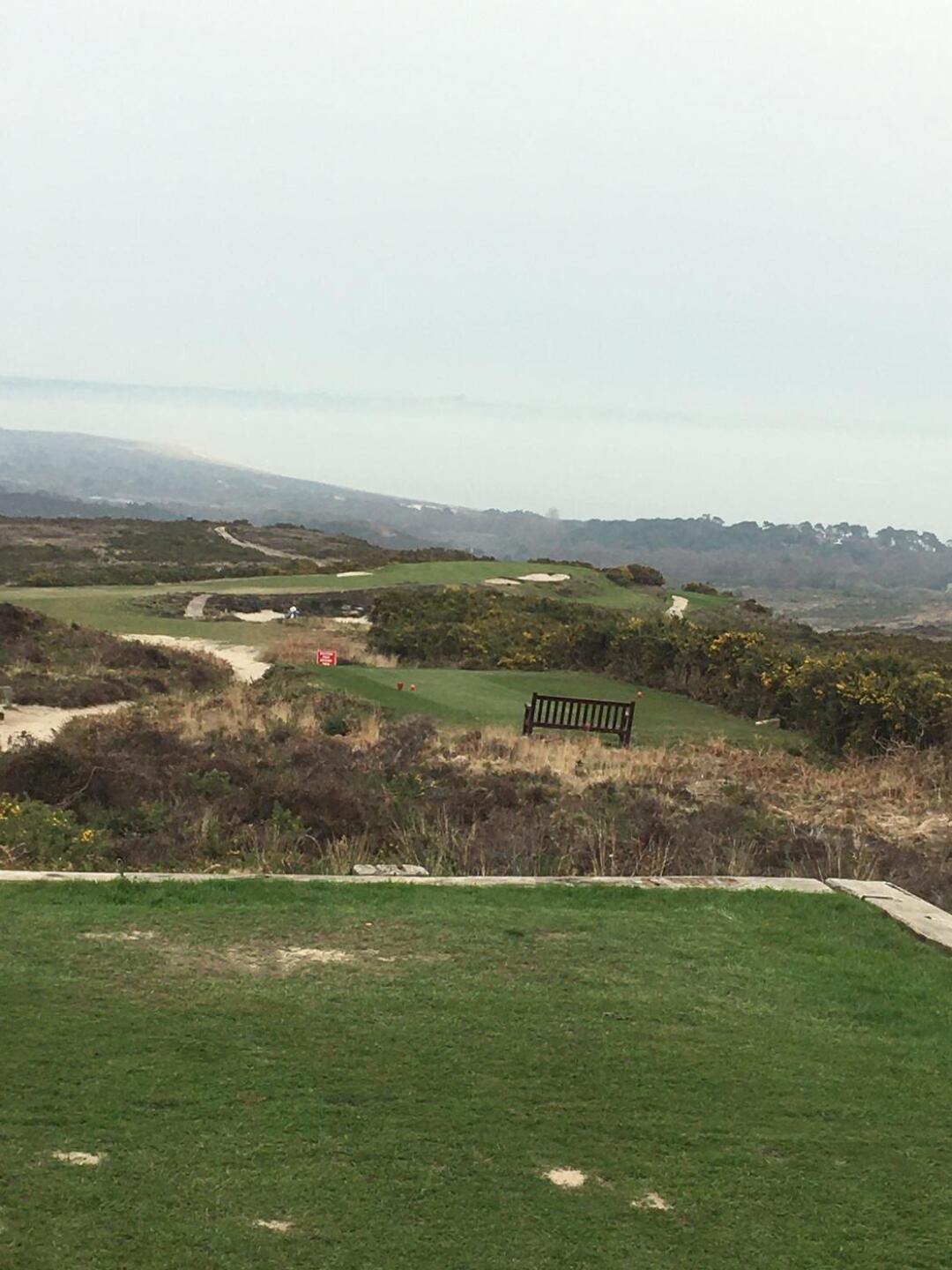 (Photo submitted by u426247464 on 03/31/2021)