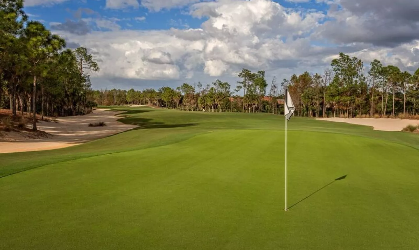 Tiburon Golf Club Black Course - no. 14