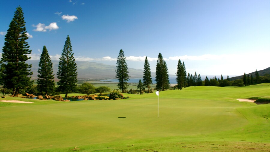 King Kamehameha GC - No. 9