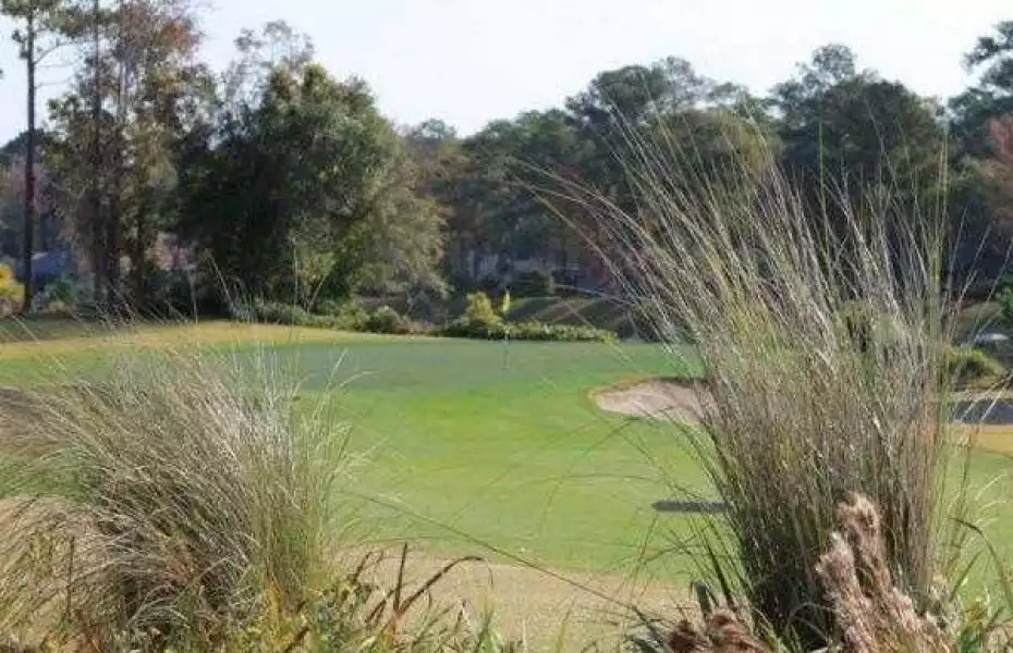 Barefoot RG - Norman: #14