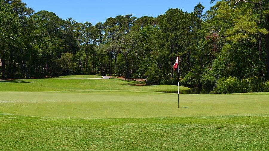 Sea Pines CC: #8