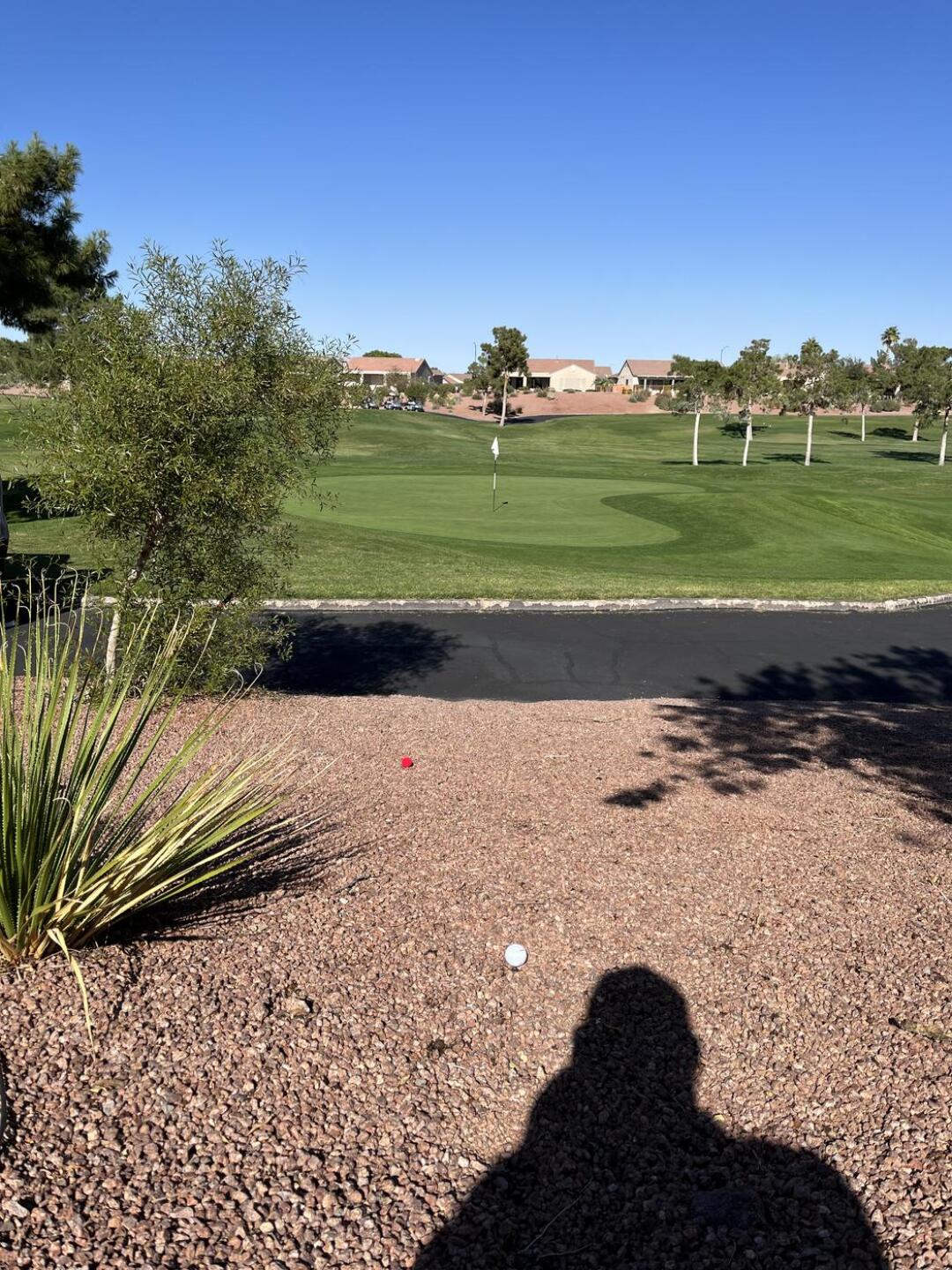 (Photo submitted by u314163995881 on 10/20/2023)