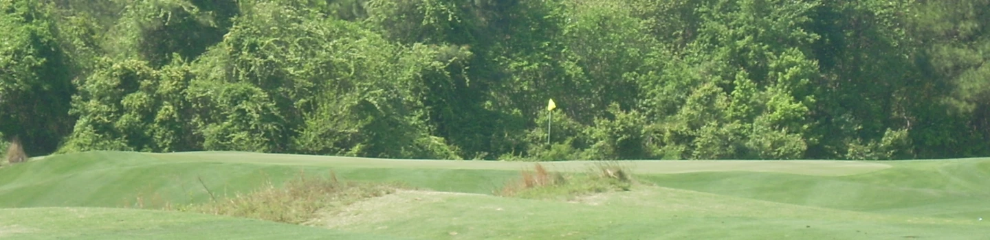 Heathland Course at Legends Golf and Resort - hole 4