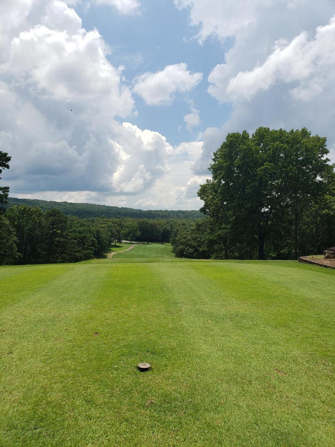 (Photo submitted by Scarantinom on 07/06/2020)