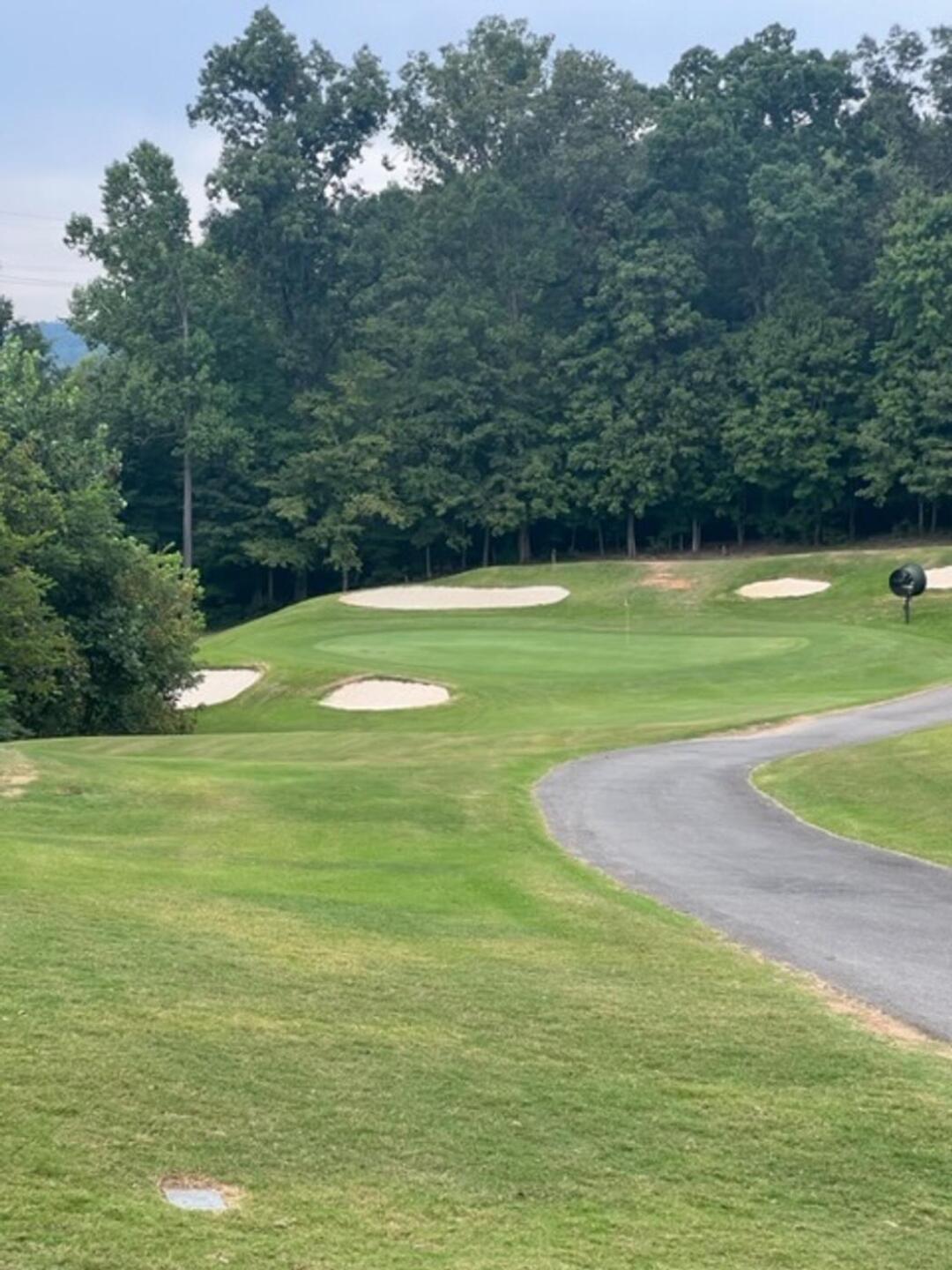 Number 17 (Photo submitted by ShelbyMasters on 09/06/2023)