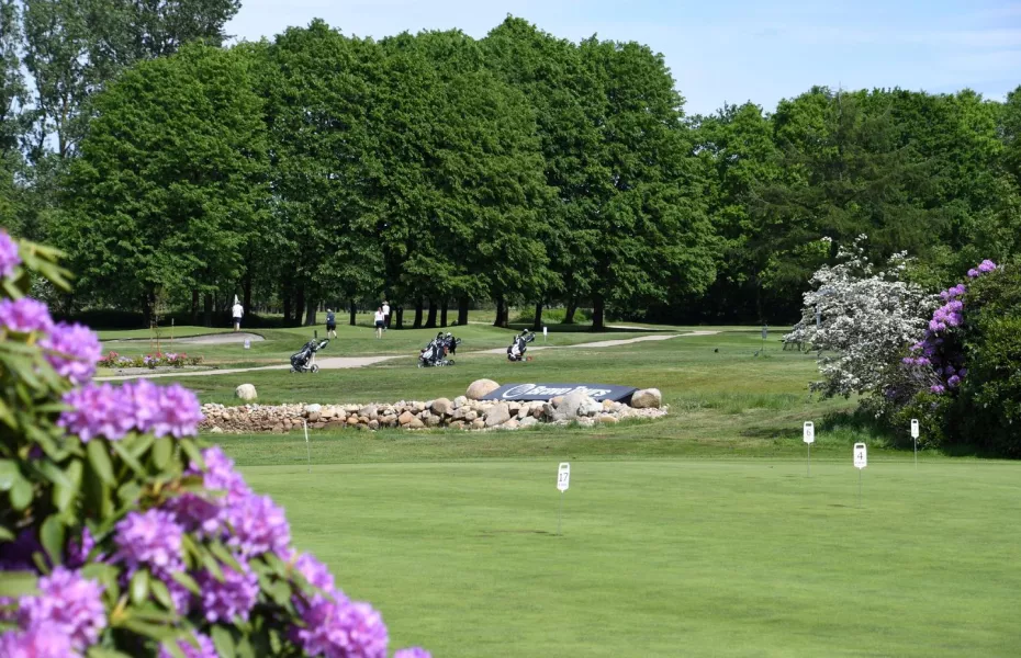 Herning GC: Practice area