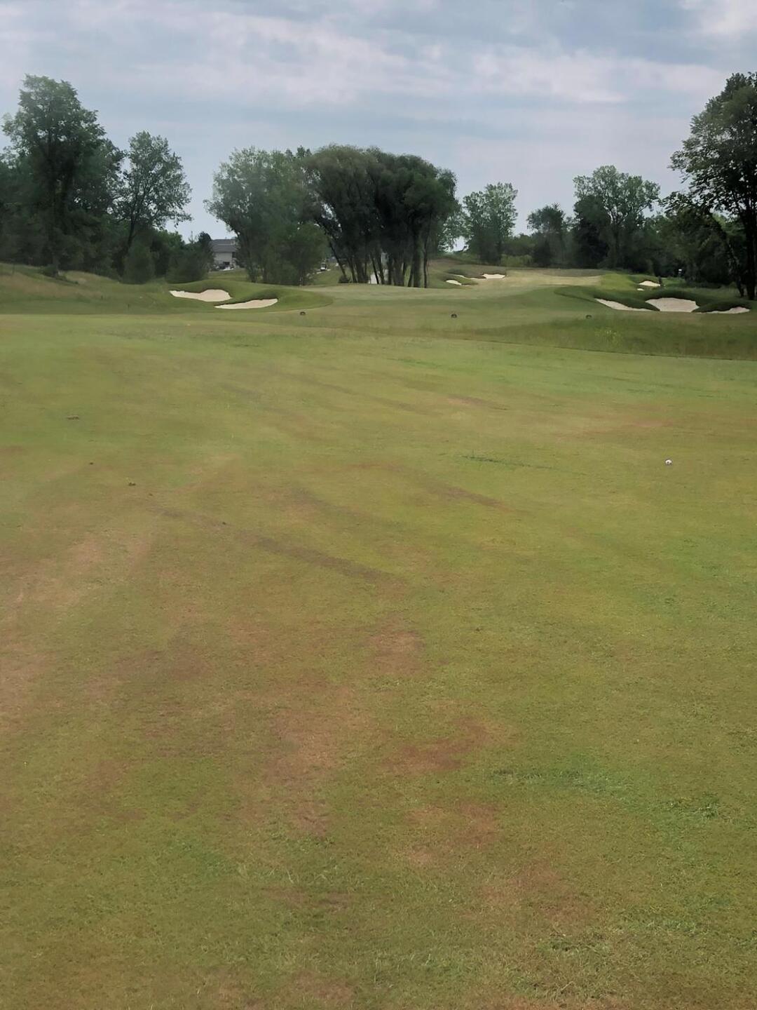 (Photo submitted by Kale1523211 on 08/03/2020)