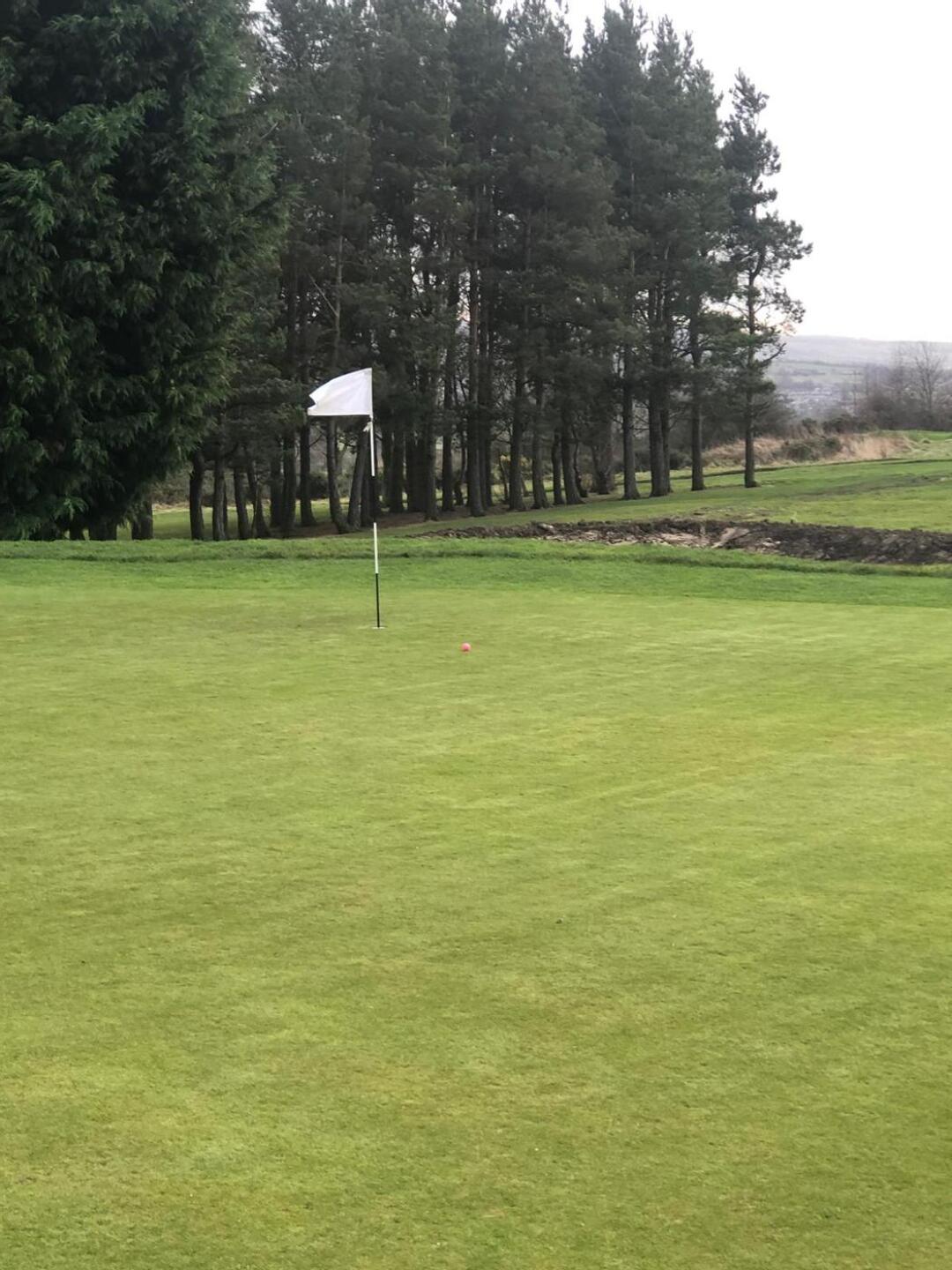 (Photo submitted by angistacker on 12/31/2024)