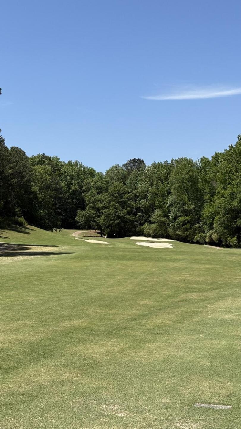 (Photo submitted by ihgu1fO53huR8dWOdbwm on 04/27/2026)