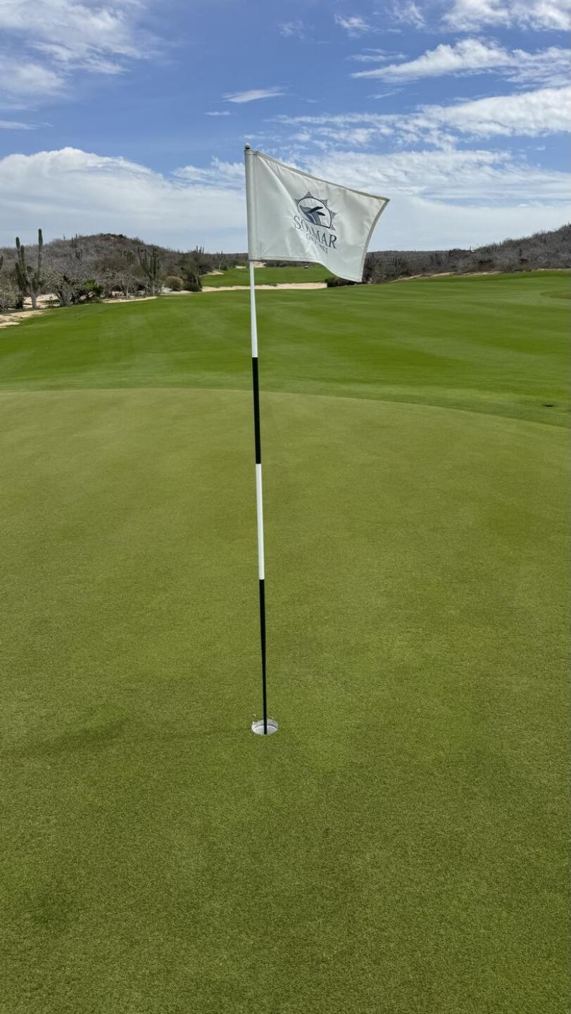 (Photo submitted by sjmartin13 on 04/15/2026)