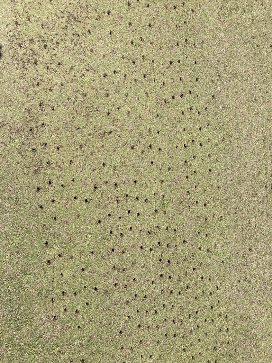 (Photo submitted by dreamster on 05/08/2022)