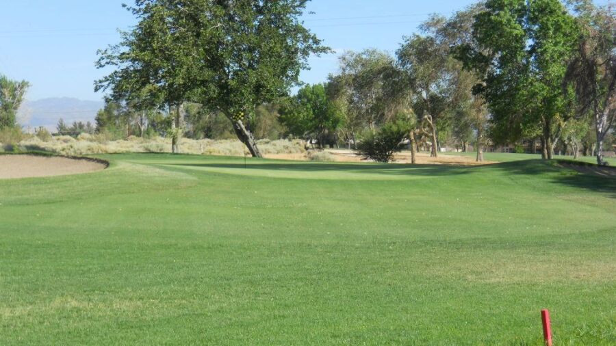 Apple Valley GC: #12