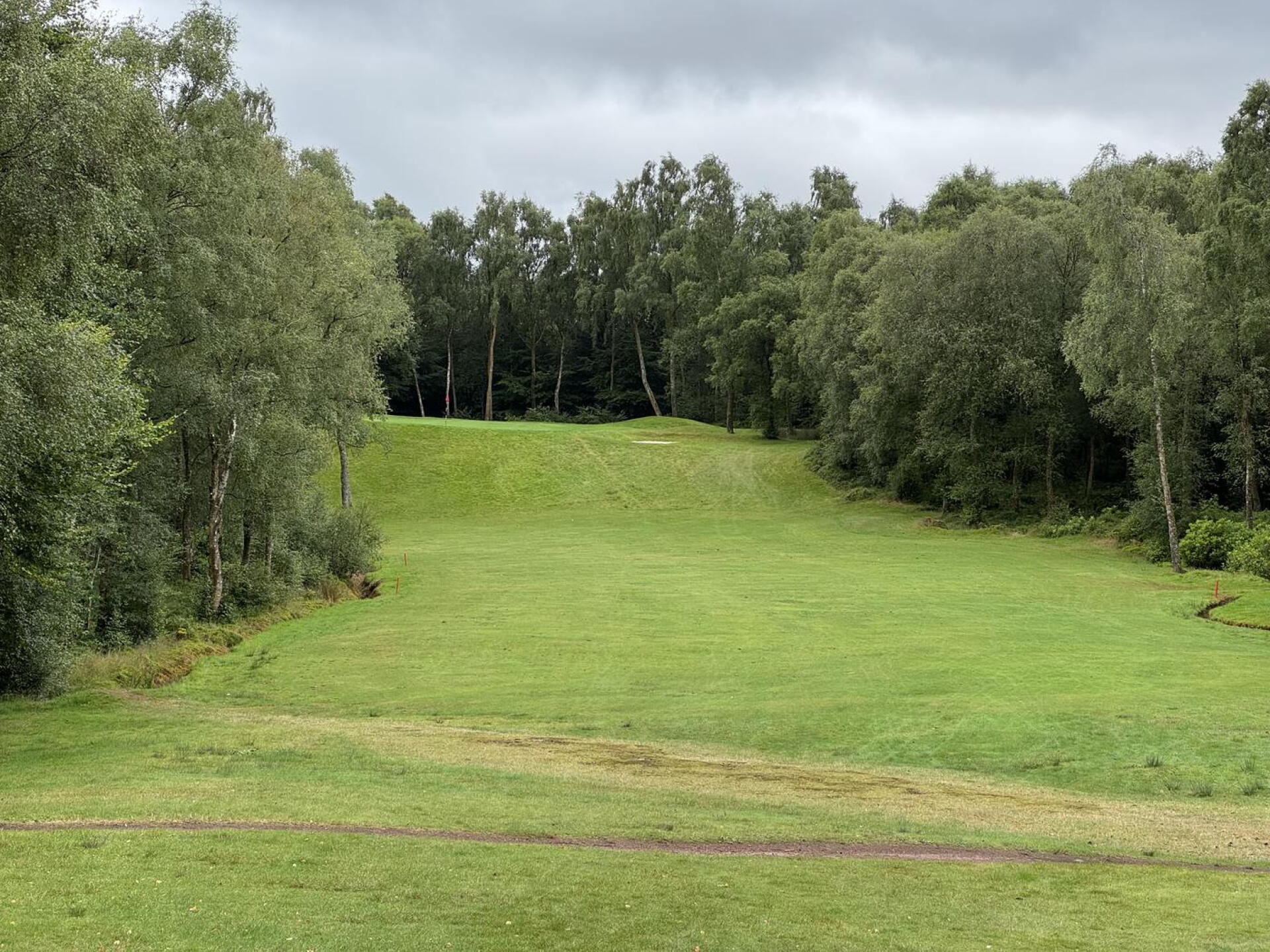 (Photo submitted by Bellshill1 on 08/05/2026)