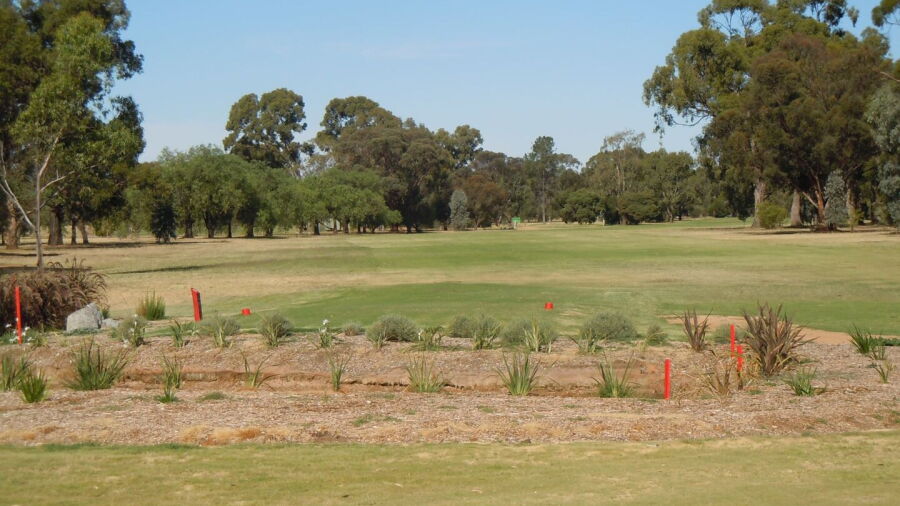 Numurkah GC: #10