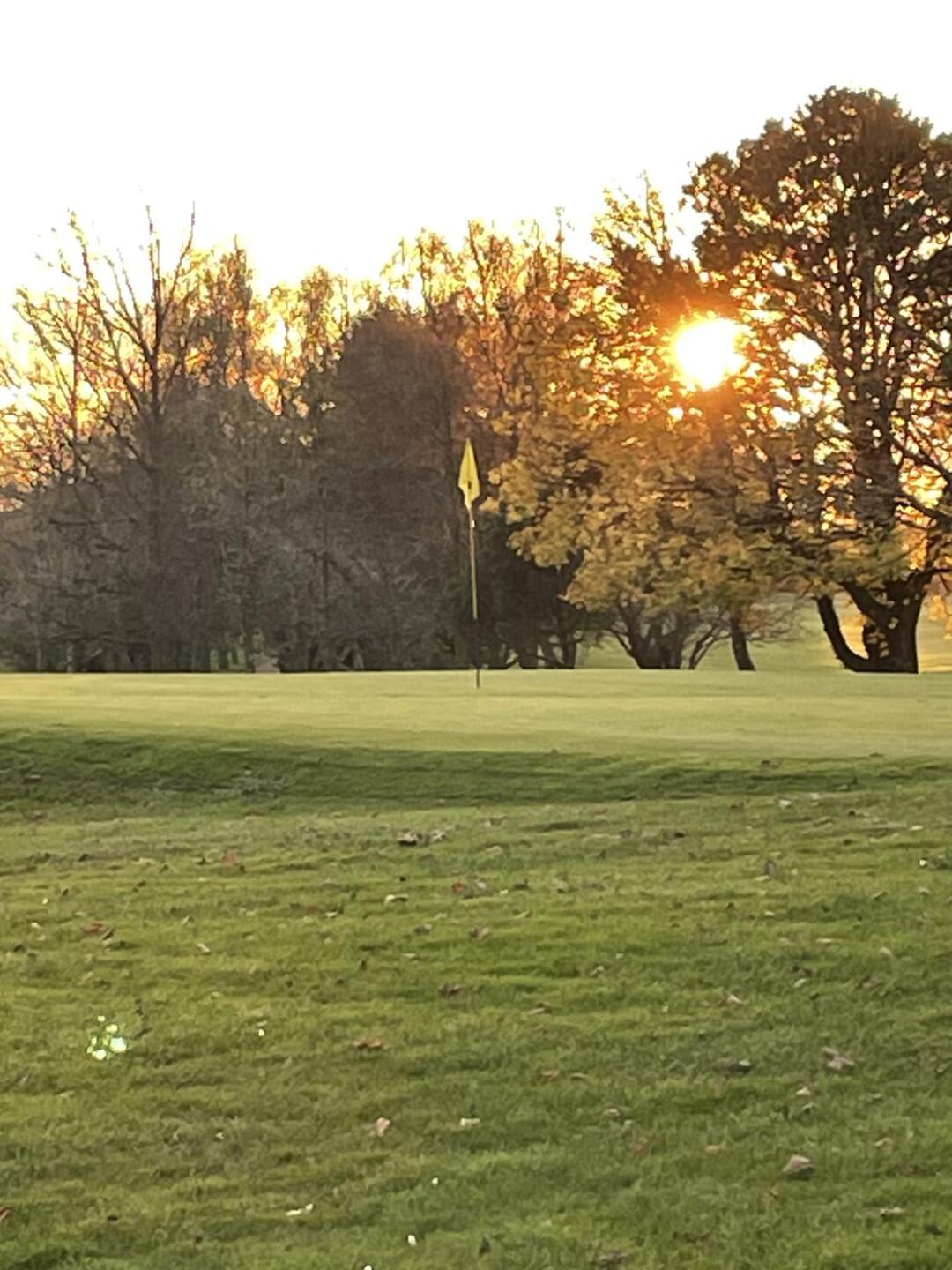 (Photo submitted by timp318 on 11/15/2024)