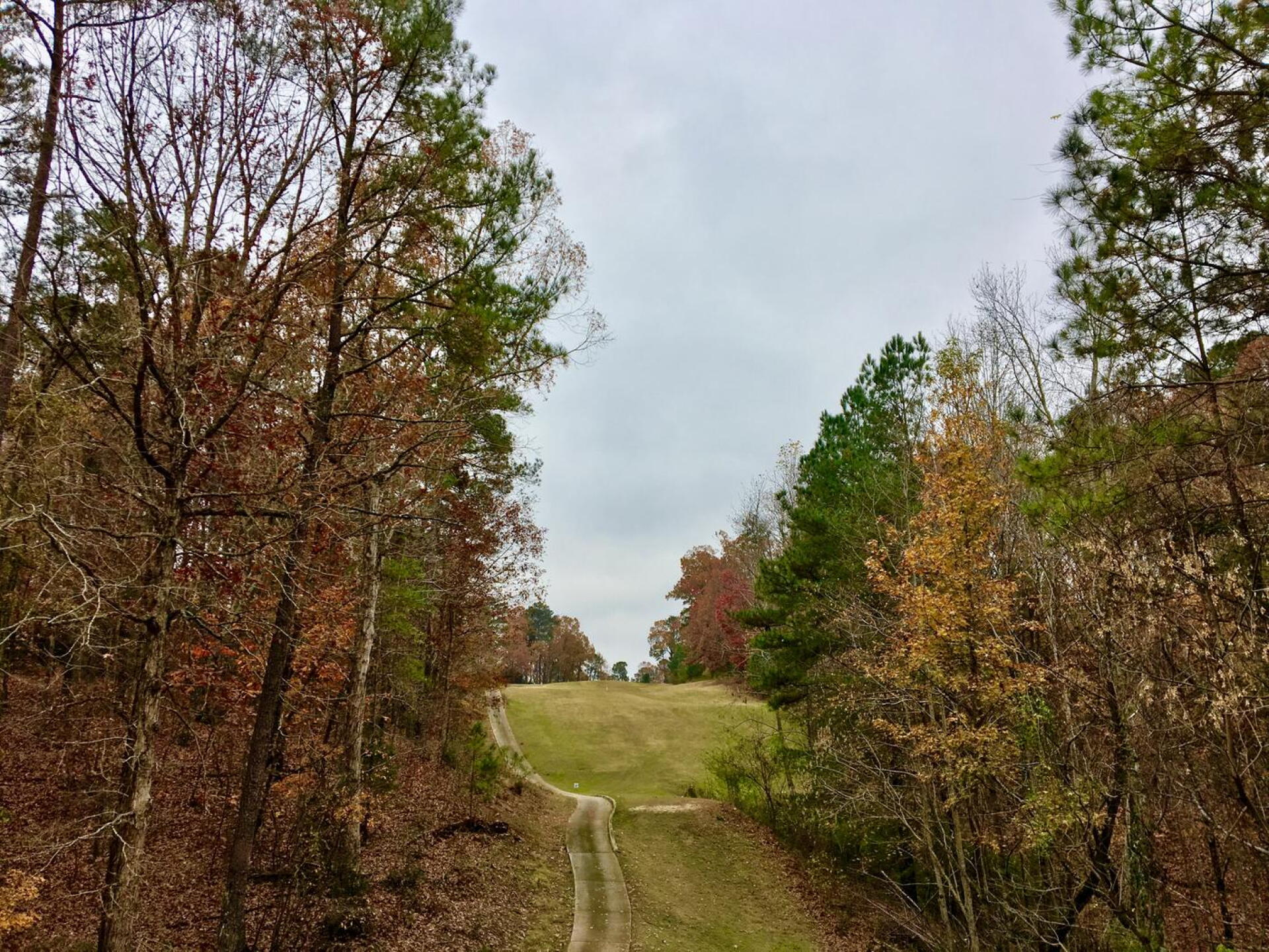 Good illustration of how tight this course plays. The 11th tee. Fairway not 20 yards wide. Forty foot elevation change to green. Miss the fairway and lose the ball. (Photo submitted by BrandonWebb on 12/01/2017)