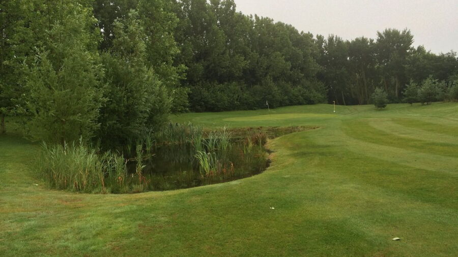 Ely On Par GC