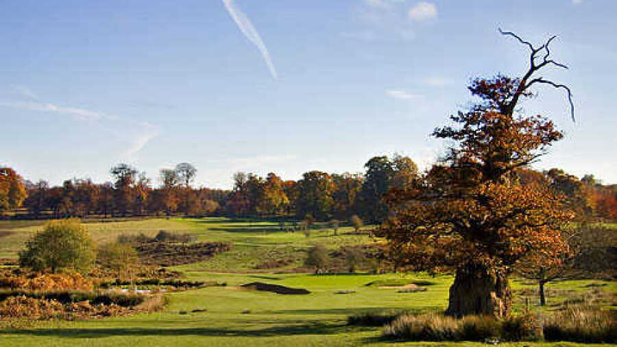 Knole Park GC: #8