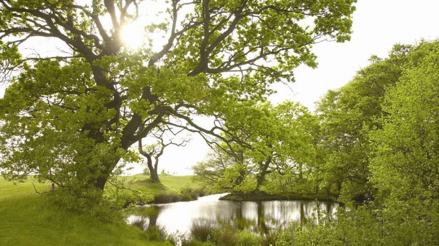 Mossock Hall GC