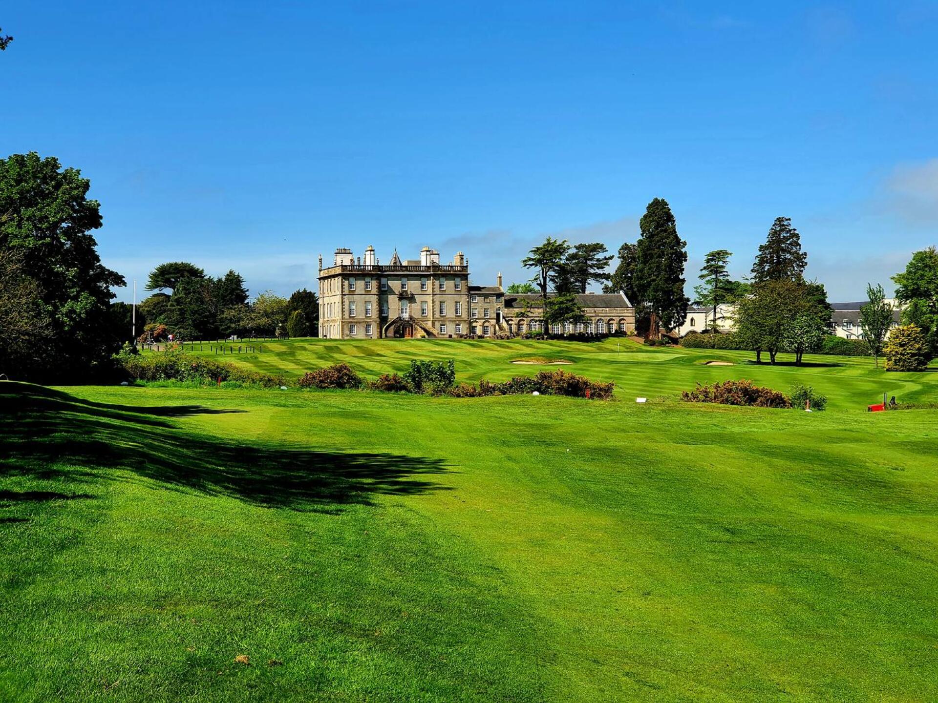 (Photo submitted by u314160267384 on 06/11/2021)