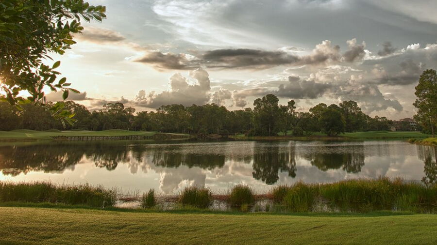 Grey Oaks CC
