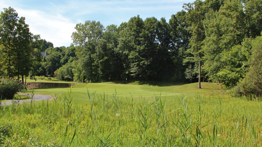 Cobblestone Creek C.C. golf course - 8th
