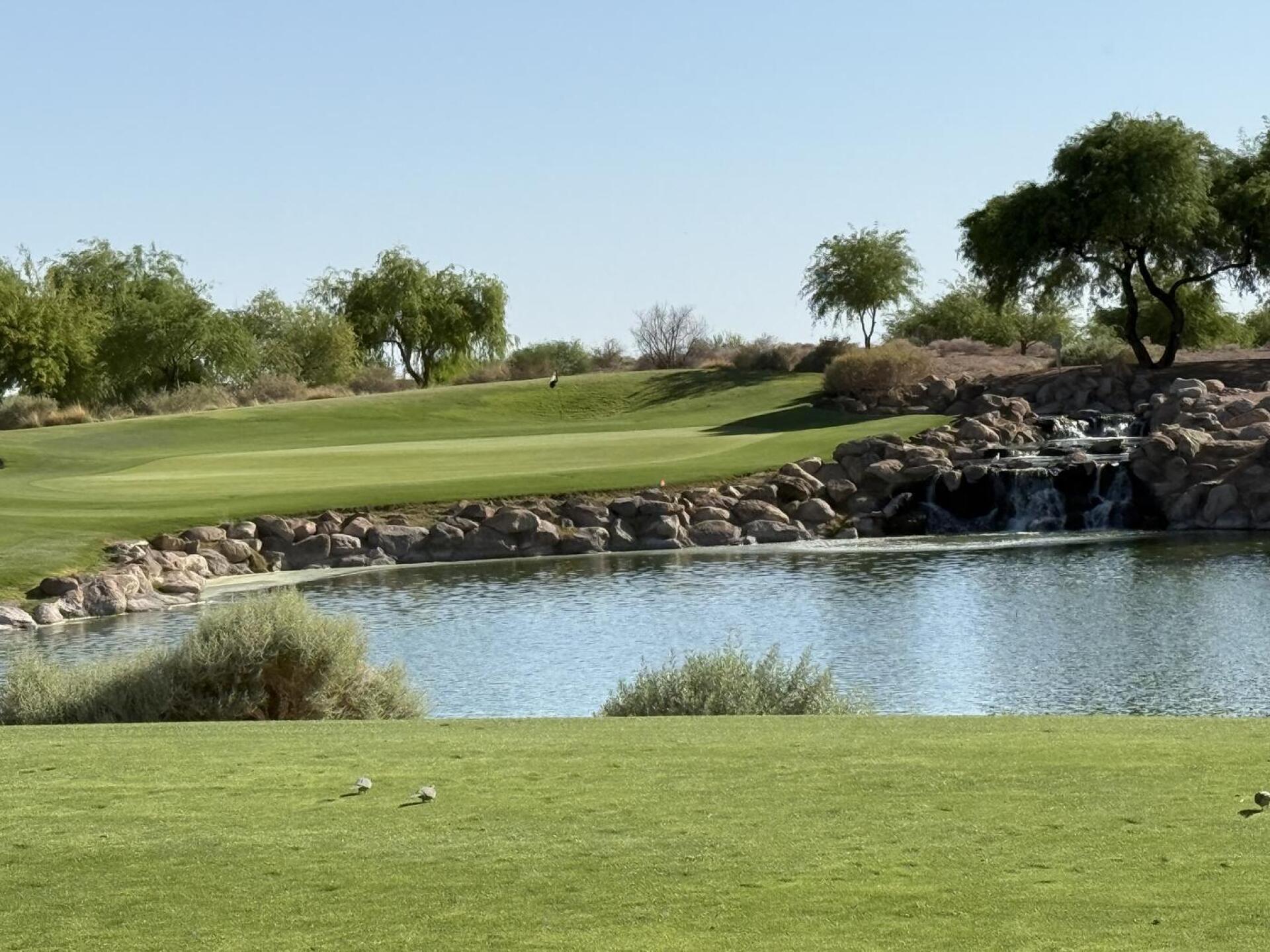 (Photo submitted by Mrgilley on 04/17/2025)