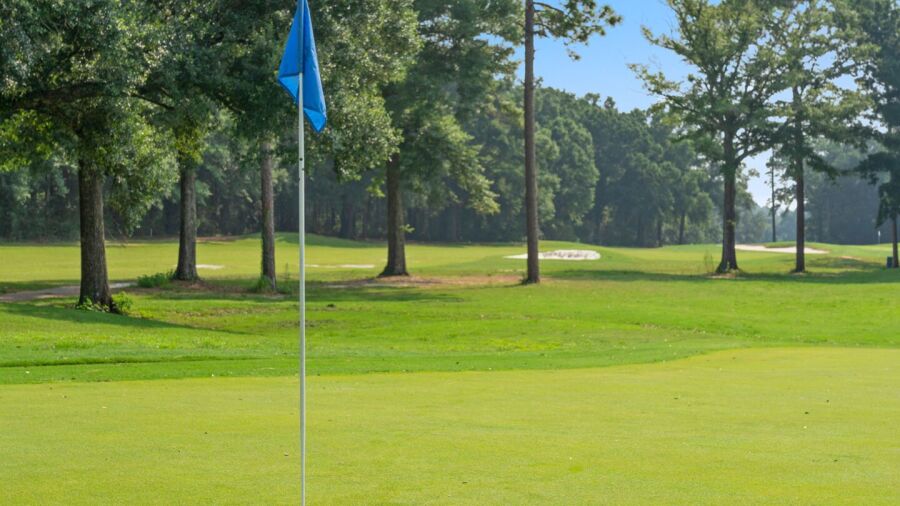 Marcus Pointe GC