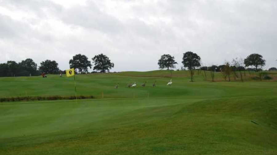 Siek/Ahrensburg GC - B: #9