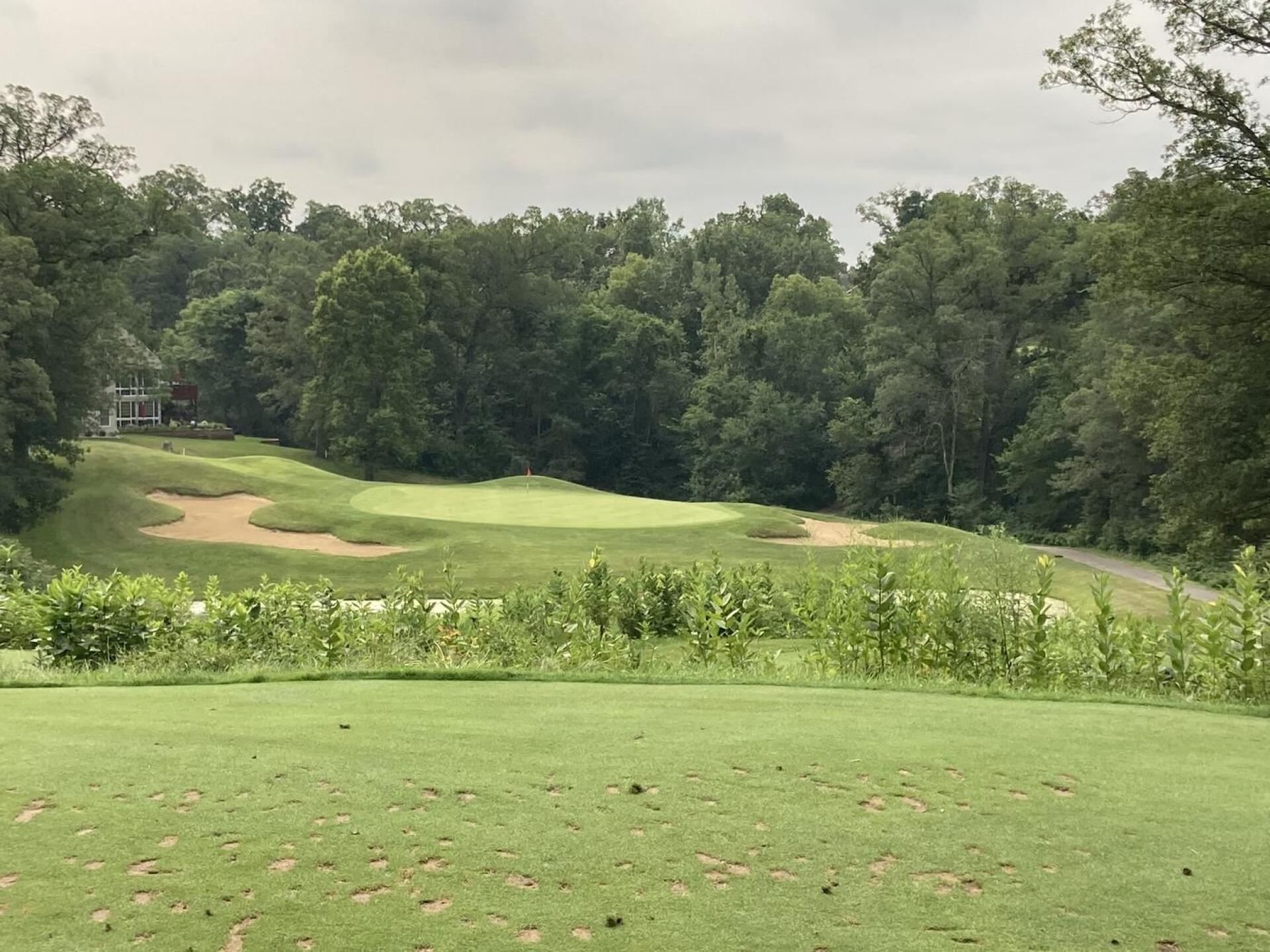 (Photo submitted by Back9Ben on 07/30/2021)