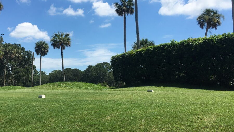 The Oak Bridge Club: #1