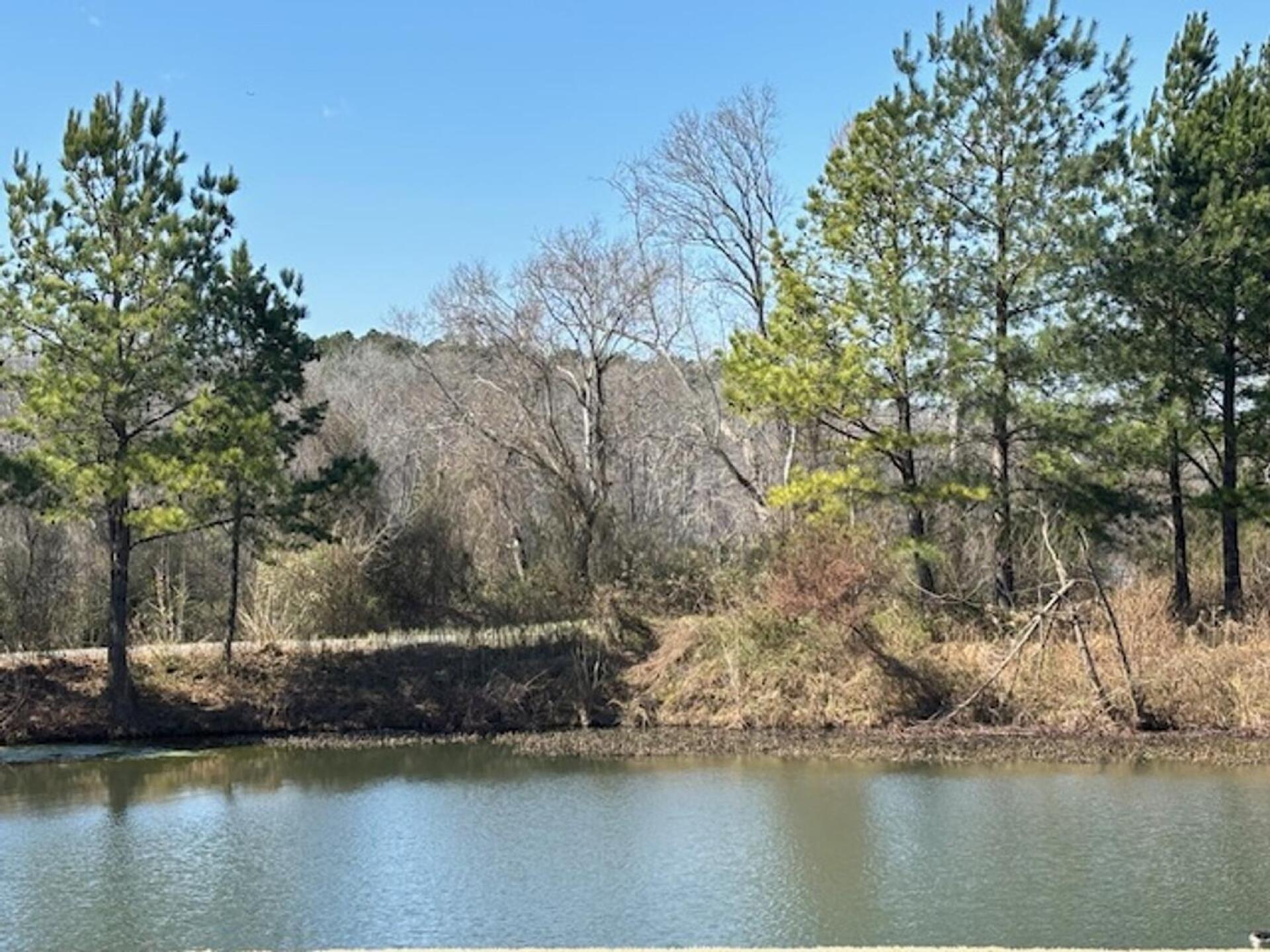 Carolina Lakes (Photo submitted by Magicbob55 on 03/27/2025)