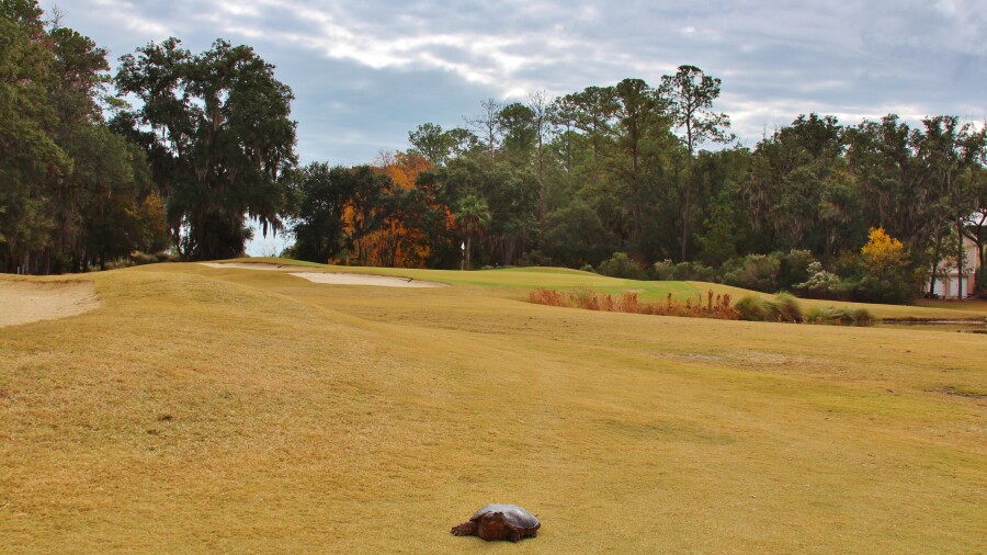 Sanctuary Golf Club at Cat Island - hole 15