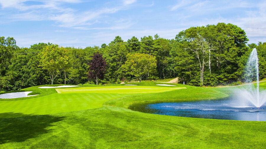 The Cape Club: #2