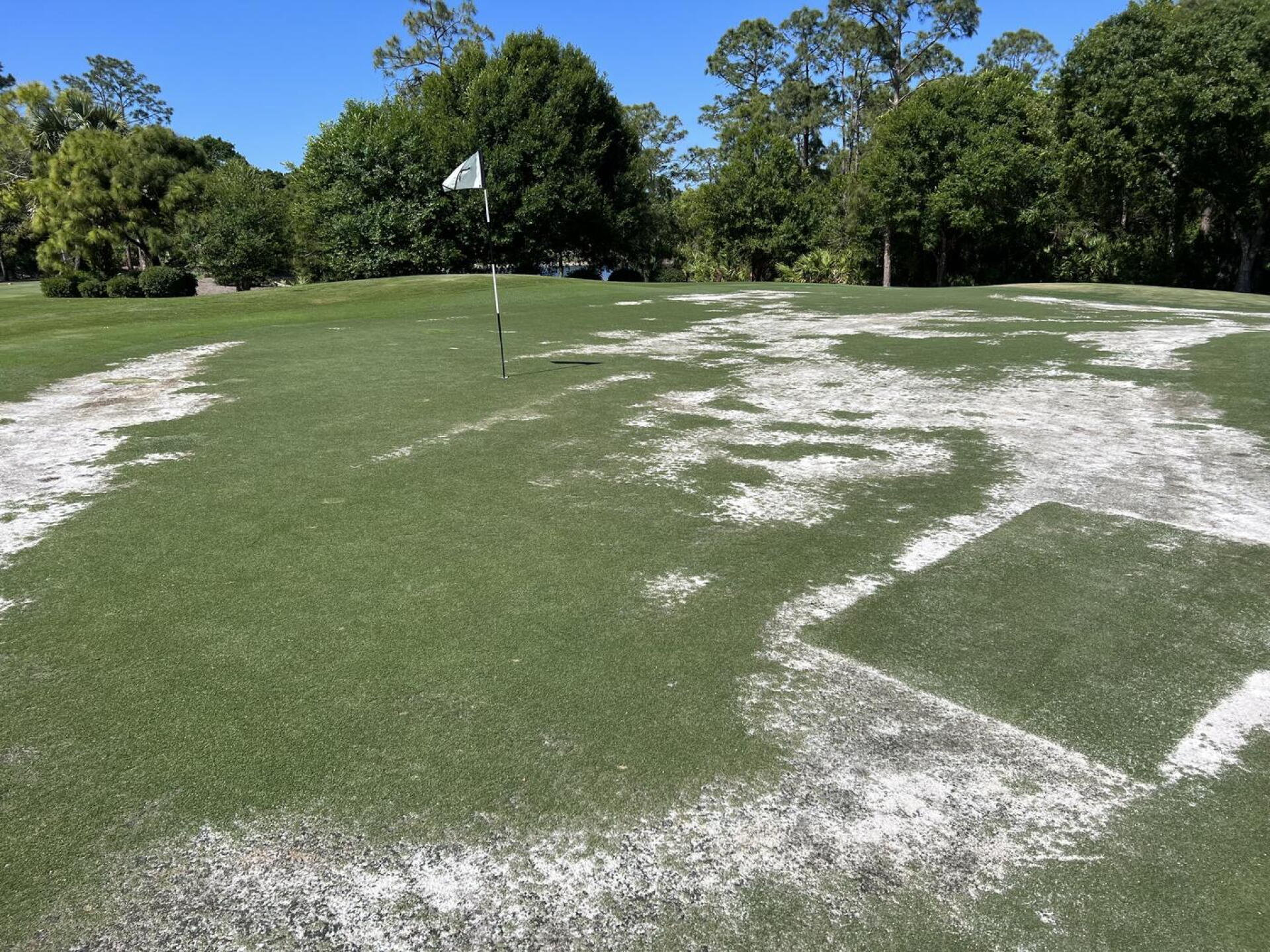 Hole #1 green (Photo submitted by u435844011 on 03/20/2025)