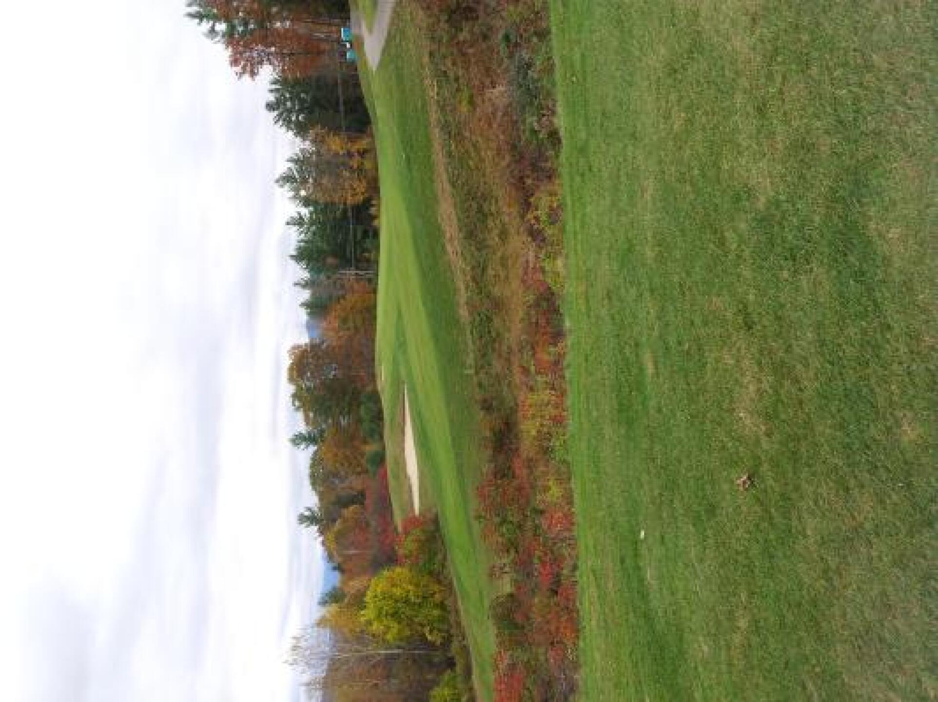 So beautiful. (Photo submitted by Kathyrose on 10/17/2013)