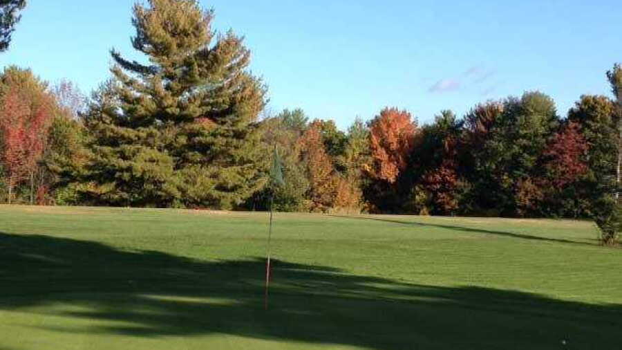 Jade Trace At Mystic Meadows