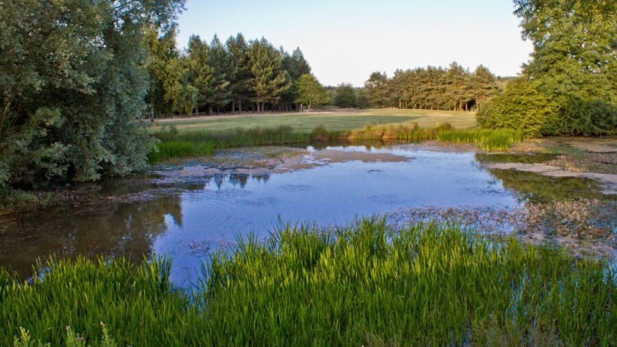 Millbrook GC: hazard