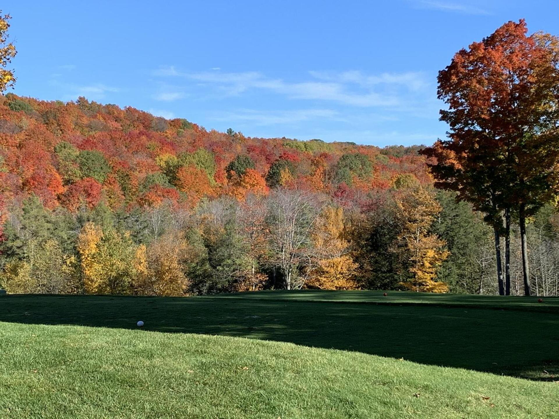 Beautiful fall day at Cedar River # 14 tee. (Photo submitted by Tom9431645 on 02/02/2021)