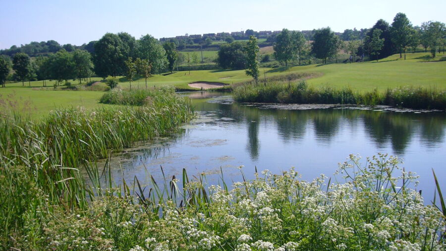 Douglas Valley GC