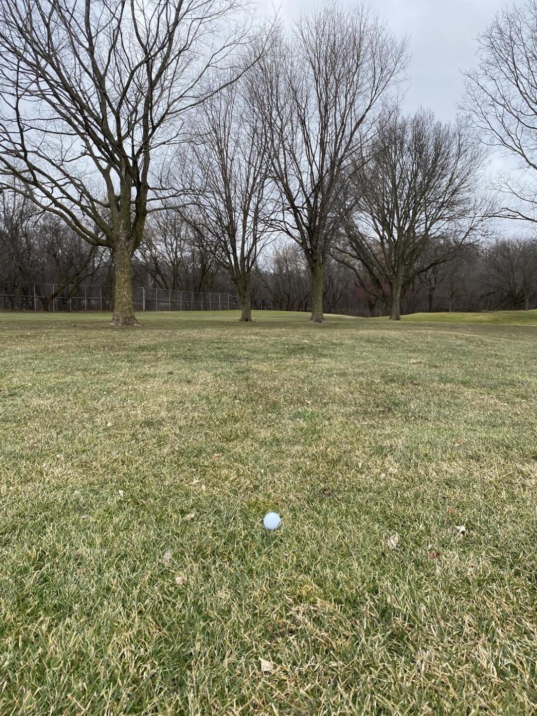 (Photo submitted by DavidWest24 on 02/06/2024)