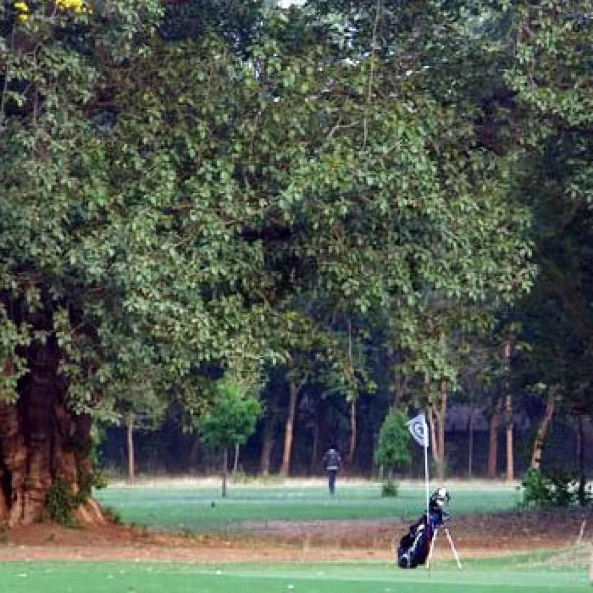 Patna Golf Club in Patna, Patna, India GolfPass