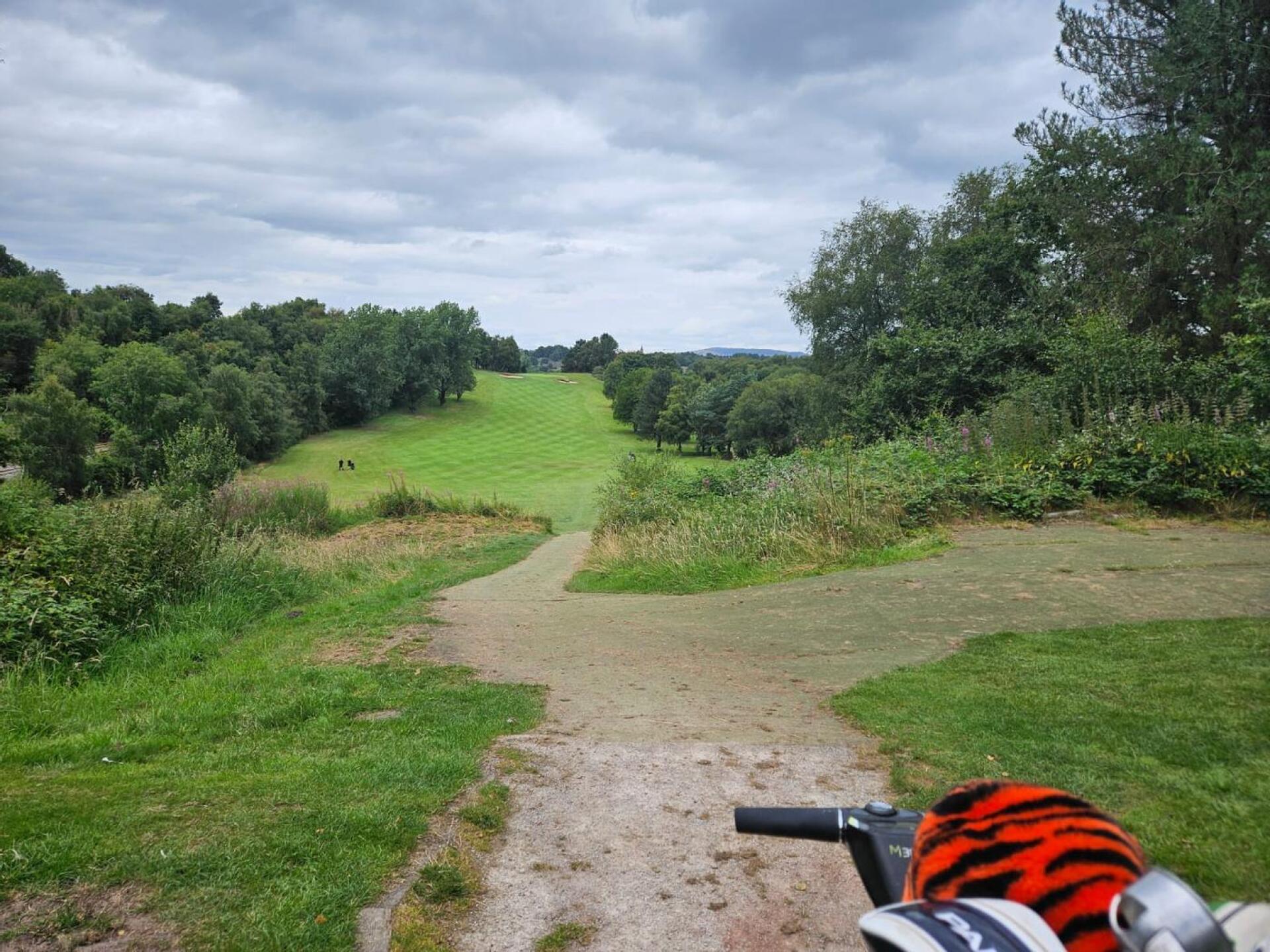 (Photo submitted by u314160156565 on 08/05/2024)