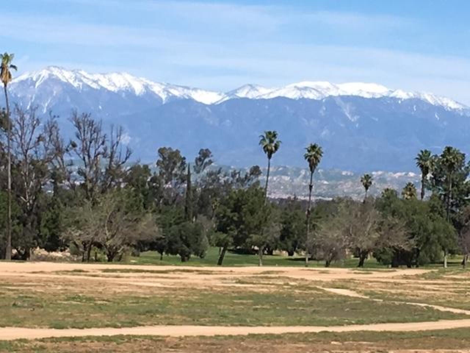 (Photo submitted by dkollmyer on 03/13/2017)