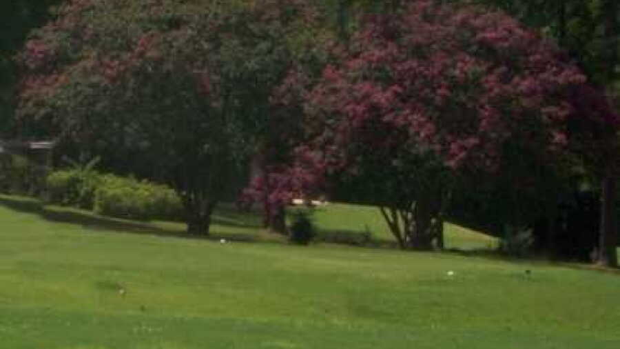 Coosa Pines GC