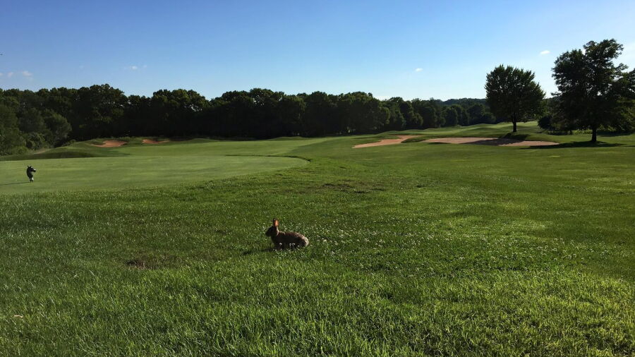 Raspberry Falls Golf & Hunt Club