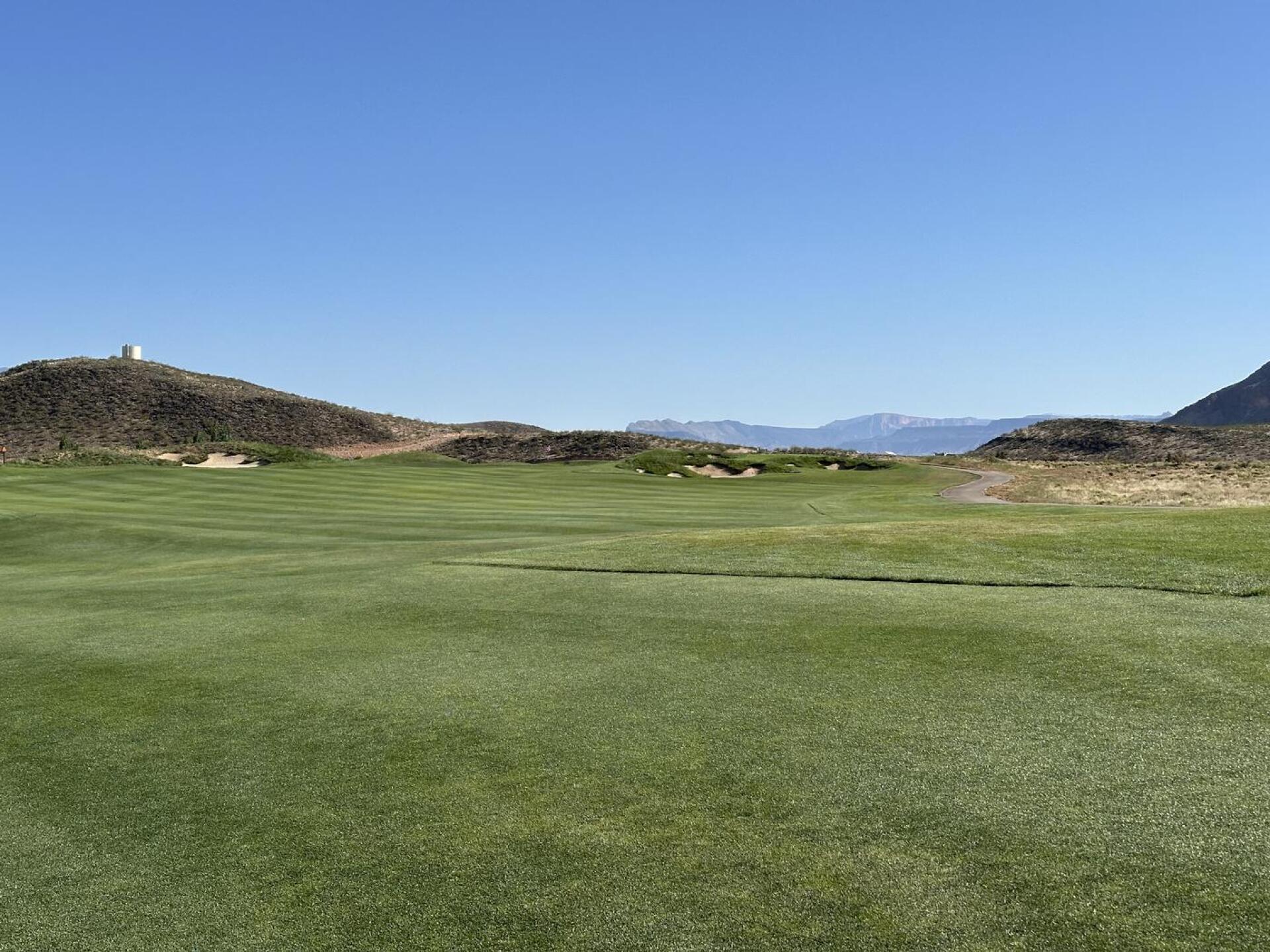 (Photo submitted by Taylor9041671 on 05/07/2024)