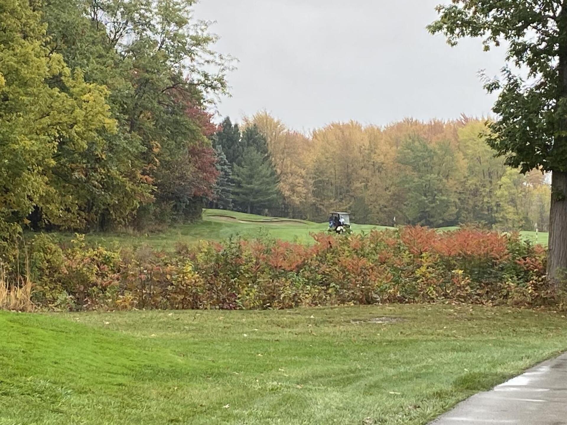 (Photo submitted by u183373765 on 10/19/2023)