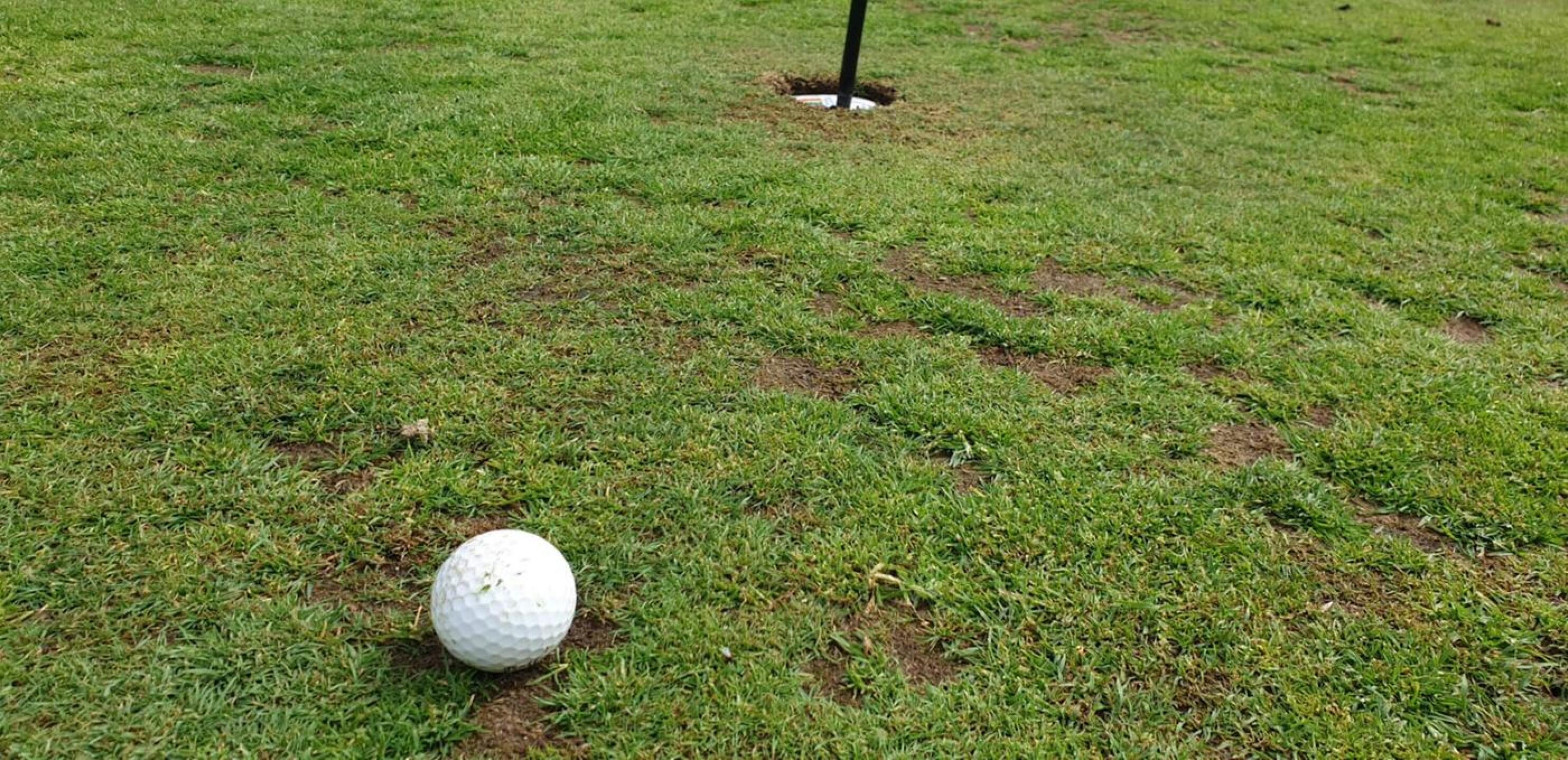 (Photo submitted by u534062207 on 07/25/2020)